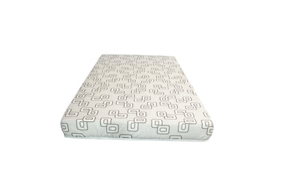 5" Foam Mattress
